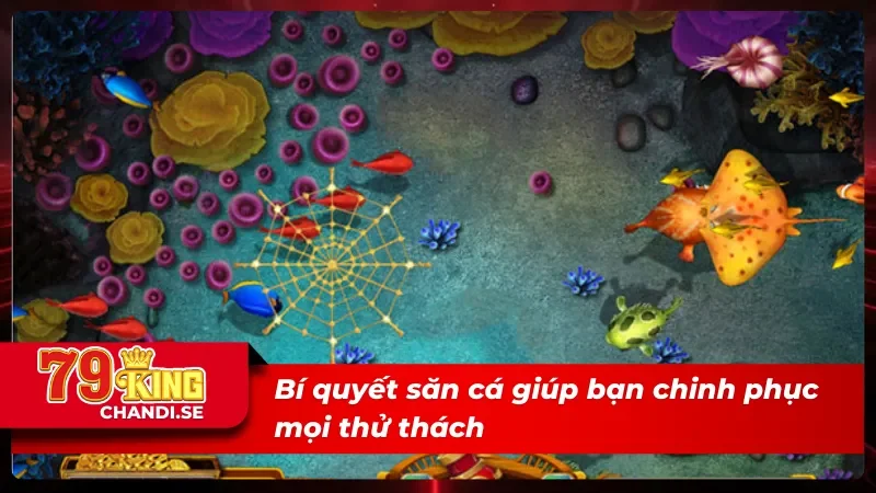 BG Bắn Cá 79King - Khám Phá Kho Báu Khổng Lồ Dưới Biển Sâu 6 Một số bí quyết giúp bạn chinh phục BG bắn cá