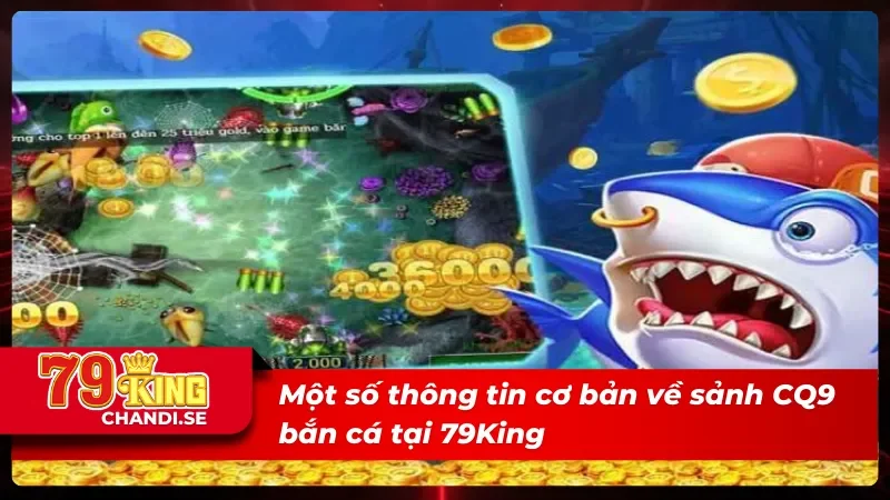 CQ9 Bắn Cá - Tận Hưởng Những Phút Giây Săn Cá Đỉnh Cao 2025 1 Giới thiệu sảnh CQ9 bắn cá