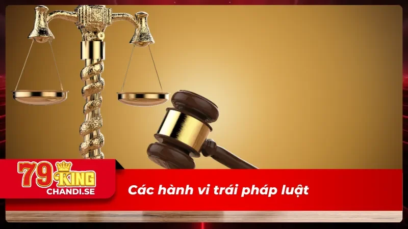 Miễn Trừ Trách Nhiệm 79King - Tránh Rủi Ro Khi Tham Gia 3 Các hành vi trái pháp luật mà 79King miễn trừ trách nhiệm