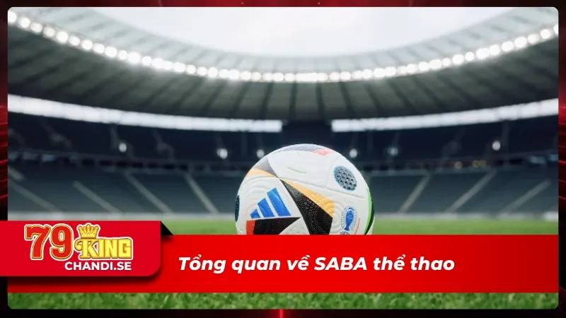 SABA Thể Thao Địa Chỉ Uy Tín Cho Người Chơi Năm 2025 1 Những điều người chơi cần biết về SABA thể thao