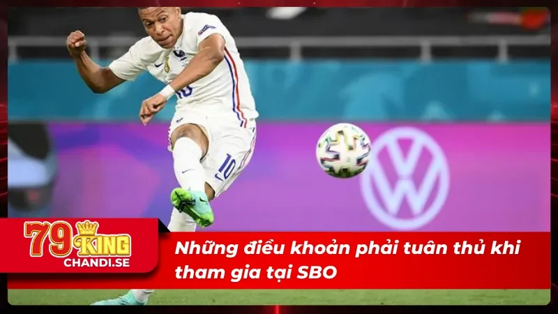SBO Thể Thao Trải Nghiệm Giải Trí Trực Tuyến Thời Gian Thực 2 05 điều khoản phải tuân thủ tại SBO thể thao