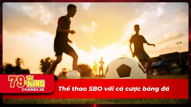 SBO Thể Thao Trải Nghiệm Giải Trí Trực Tuyến Thời Gian Thực 5 SBO thể thao với giải bóng đá